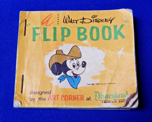 Vintage disneyland souvenir - vintage,
