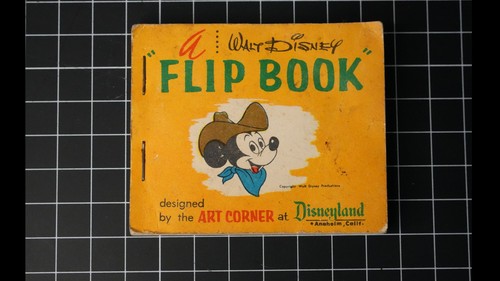 Vintage disneyland souvenir - disneyland,