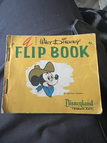 Vintage disneyland souvenir - vintage,